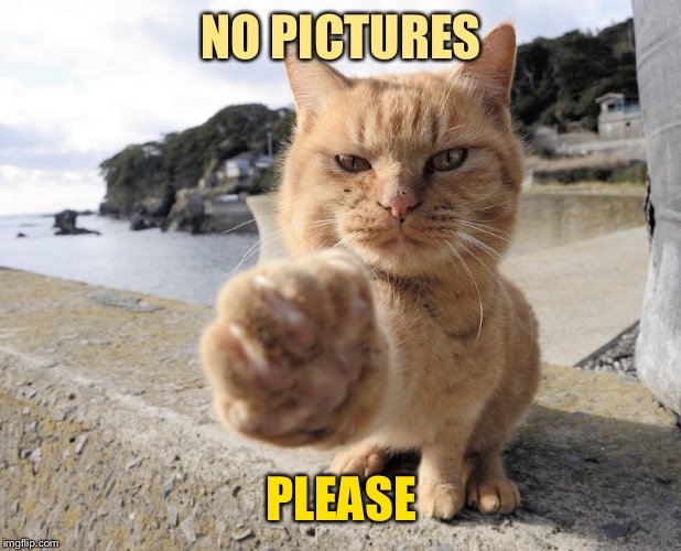 NO PICTURES PLEASE | made w/ Imgflip meme maker