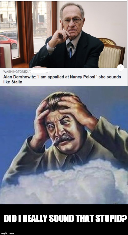 DID I REALLY SOUND THAT STUPID? | image tagged in worrying stalin,nancy pelosi | made w/ Imgflip meme maker