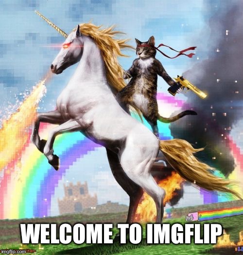 Welcome To The Internets Meme | WELCOME TO IMGFLIP | image tagged in memes,welcome to the internets | made w/ Imgflip meme maker