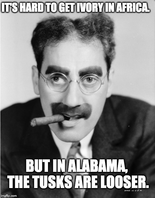 groucho | IT'S HARD TO GET IVORY IN AFRICA. BUT IN ALABAMA, THE TUSKS ARE LOOSER. | image tagged in groucho | made w/ Imgflip meme maker
