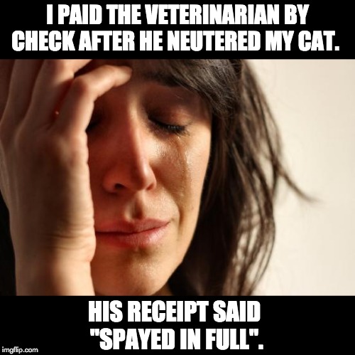 First World Problems Meme | I PAID THE VETERINARIAN BY CHECK AFTER HE NEUTERED MY CAT. HIS RECEIPT SAID "SPAYED IN FULL". | image tagged in memes,first world problems | made w/ Imgflip meme maker