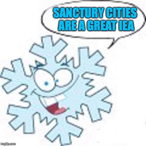 Snowflake | SANCTURY CITIES ARE A GREAT IEA | image tagged in snowflake | made w/ Imgflip meme maker