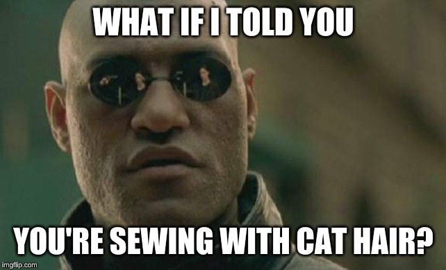 Matrix Morpheus Meme | WHAT IF I TOLD YOU YOU'RE SEWING WITH CAT HAIR? | image tagged in memes,matrix morpheus | made w/ Imgflip meme maker