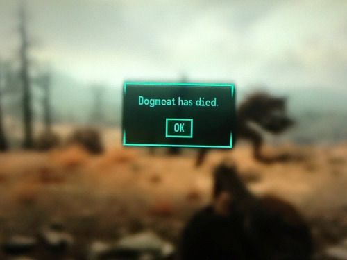 High Quality Fallout dogmeat has died Blank Meme Template