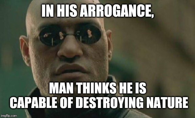 Matrix Morpheus | IN HIS ARROGANCE, MAN THINKS HE IS CAPABLE OF DESTROYING NATURE | image tagged in memes,matrix morpheus | made w/ Imgflip meme maker