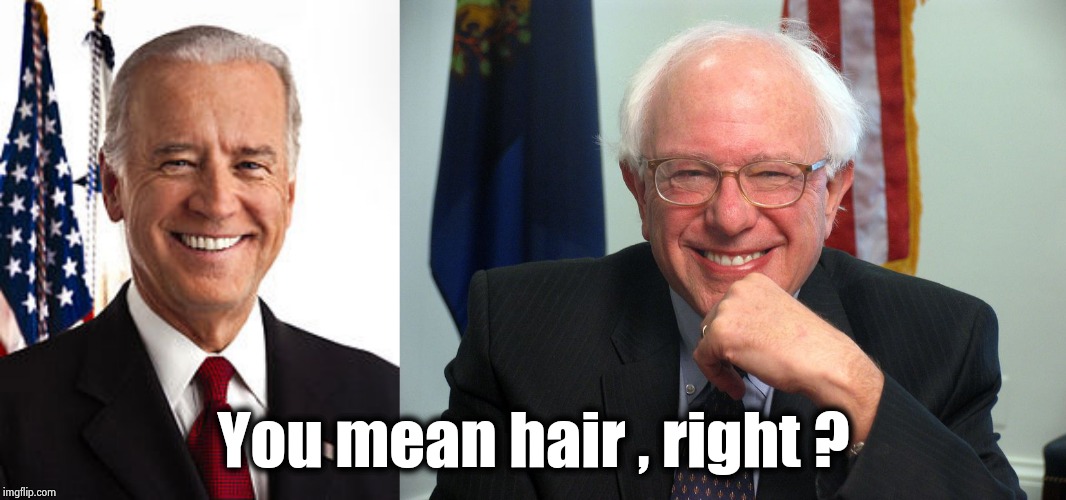 You mean hair , right ? | image tagged in memes,joe biden,vote bernie sanders | made w/ Imgflip meme maker