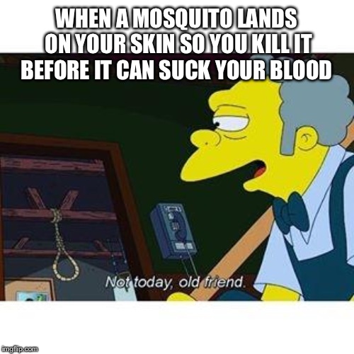 not today old friend | WHEN A MOSQUITO LANDS ON YOUR SKIN SO YOU KILL IT BEFORE IT CAN SUCK YOUR BLOOD | image tagged in not today old friend | made w/ Imgflip meme maker
