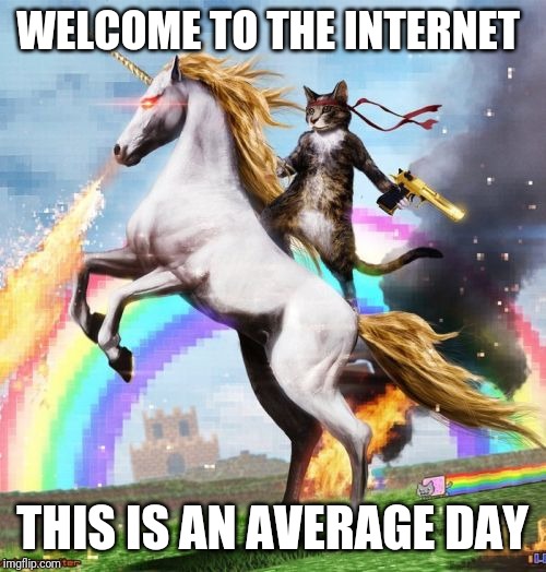 Welcome To The Internets | WELCOME TO THE INTERNET; THIS IS AN AVERAGE DAY | image tagged in memes,welcome to the internets | made w/ Imgflip meme maker