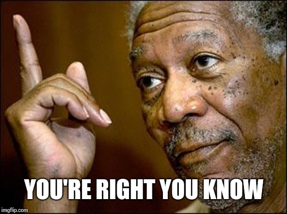 This Morgan Freeman | YOU'RE RIGHT YOU KNOW | image tagged in this morgan freeman | made w/ Imgflip meme maker
