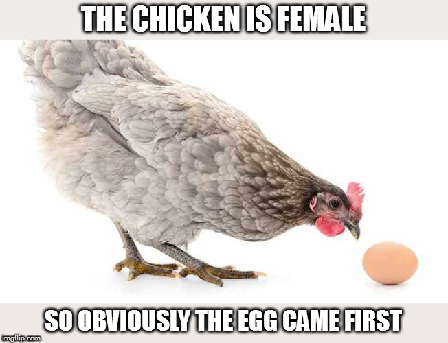 I've solved it! | THE CHICKEN IS FEMALE; SO OBVIOUSLY THE EGG CAME FIRST | image tagged in memes,funny,which came first,chicken or the egg | made w/ Imgflip meme maker