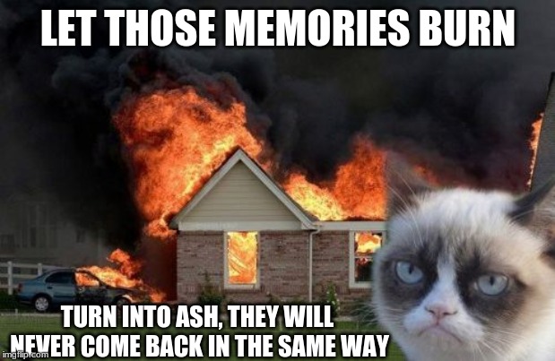Burn Kitty Meme | LET THOSE MEMORIES BURN TURN INTO ASH, THEY WILL NEVER COME BACK IN THE SAME WAY | image tagged in memes,burn kitty,grumpy cat | made w/ Imgflip meme maker