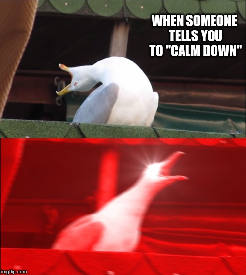 Deep Breath Seagull | WHEN SOMEONE TELLS YOU TO "CALM DOWN" | image tagged in deep breath seagull | made w/ Imgflip meme maker
