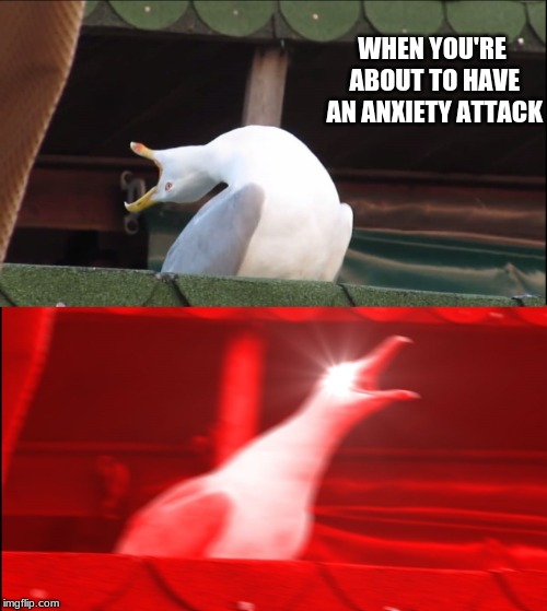 Deep Breath Seagull | WHEN YOU'RE ABOUT TO HAVE AN ANXIETY ATTACK | image tagged in deep breath seagull | made w/ Imgflip meme maker