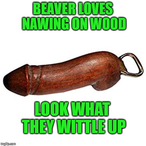 BEAVER LOVES NAWING ON WOOD LOOK WHAT THEY WITTLE UP | made w/ Imgflip meme maker
