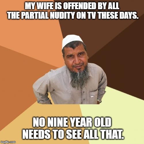 Ordinary Muslim Man | MY WIFE IS OFFENDED BY ALL THE PARTIAL NUDITY ON TV THESE DAYS. NO NINE YEAR OLD NEEDS TO SEE ALL THAT. | image tagged in memes,ordinary muslim man | made w/ Imgflip meme maker