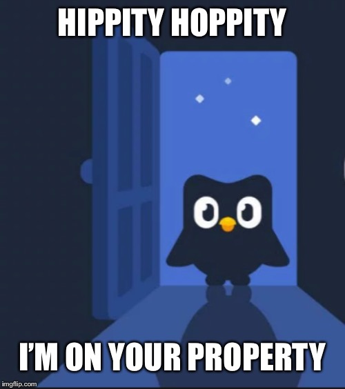 Duolingo bird | HIPPITY HOPPITY I’M ON YOUR PROPERTY | image tagged in duolingo bird | made w/ Imgflip meme maker