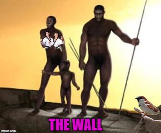 the wall | THE WALL | image tagged in the wall | made w/ Imgflip meme maker