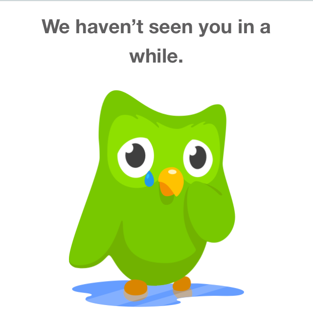 Sad Duolingo Bird Blank Meme Template