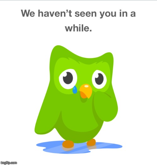 Sad Duolingo Bird | image tagged in sad duolingo bird | made w/ Imgflip meme maker