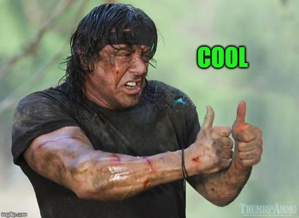 Sylvester Stallone Thumbs Up | COOL | image tagged in sylvester stallone thumbs up | made w/ Imgflip meme maker