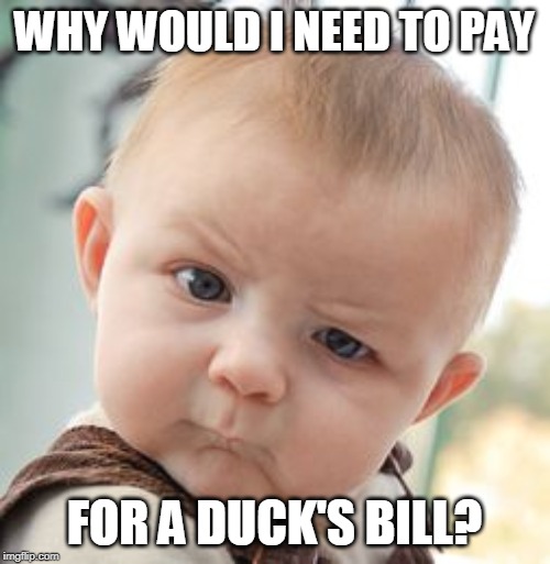 Skeptical Baby Meme | WHY WOULD I NEED TO PAY FOR A DUCK'S BILL? | image tagged in memes,skeptical baby | made w/ Imgflip meme maker