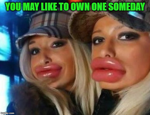 Duck Face Chicks Meme | YOU MAY LIKE TO OWN ONE SOMEDAY | image tagged in memes,duck face chicks | made w/ Imgflip meme maker