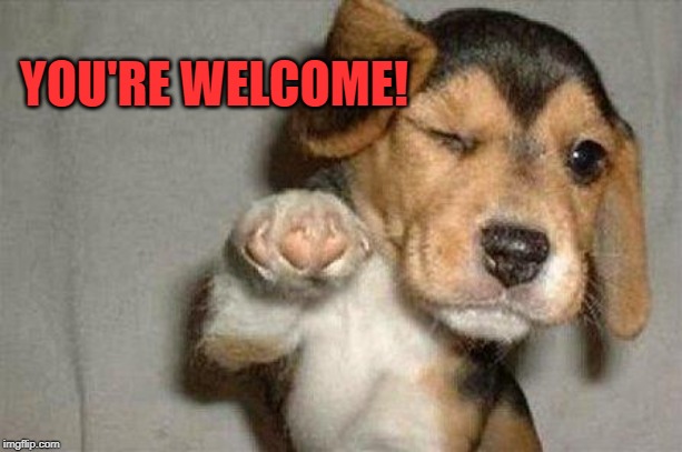 Awesome Dog | YOU'RE WELCOME! | image tagged in awesome dog | made w/ Imgflip meme maker