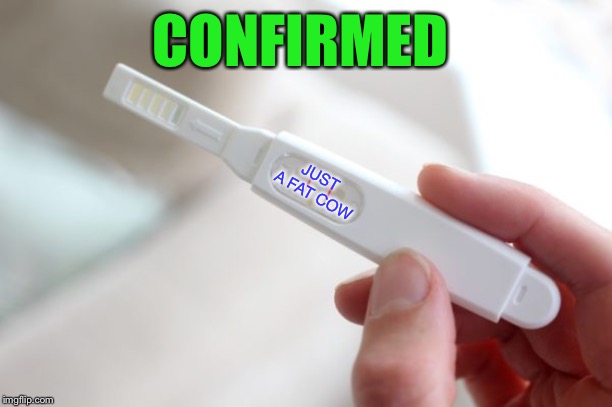 Pregnancy test | CONFIRMED JUST A FAT COW | image tagged in pregnancy test | made w/ Imgflip meme maker