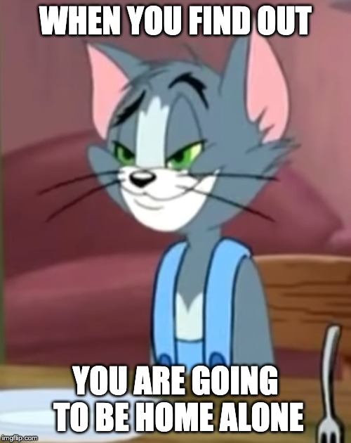Pleased Tom | WHEN YOU FIND OUT; YOU ARE GOING TO BE HOME ALONE | image tagged in tom,tom and jerry | made w/ Imgflip meme maker
