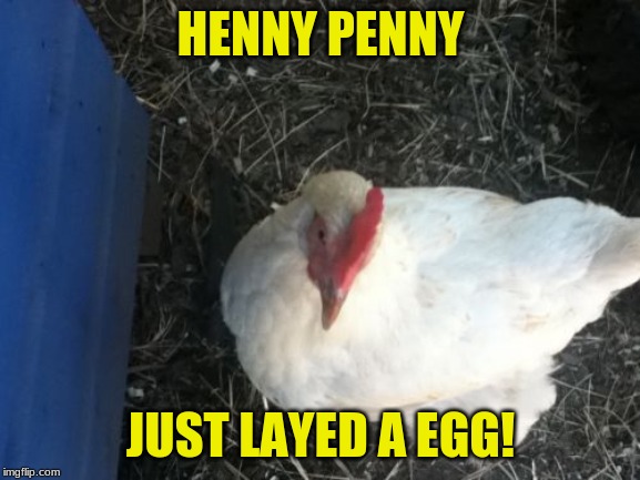 Angry Chicken Boss |  HENNY PENNY; JUST LAYED A EGG! | image tagged in memes,angry chicken boss | made w/ Imgflip meme maker