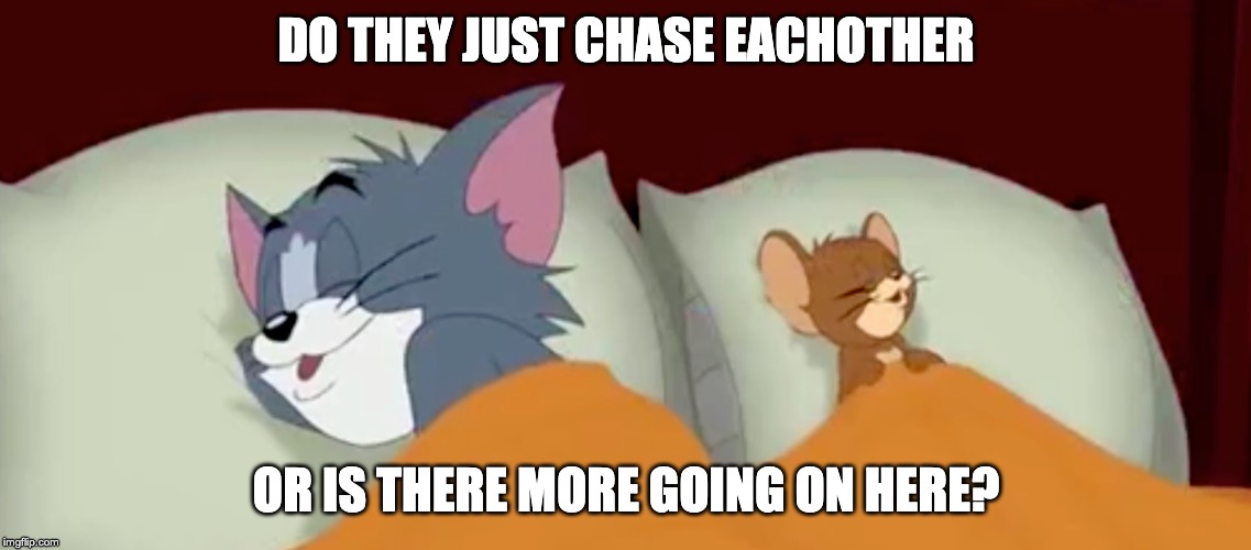 tom and jerry | DO THEY JUST CHASE EACHOTHER; OR IS THERE MORE GOING ON HERE? | image tagged in tom and jerry | made w/ Imgflip meme maker