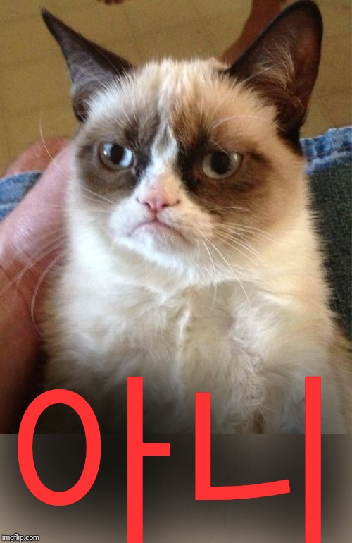 Grumpy Cat Meme | 아니 | image tagged in memes,grumpy cat | made w/ Imgflip meme maker