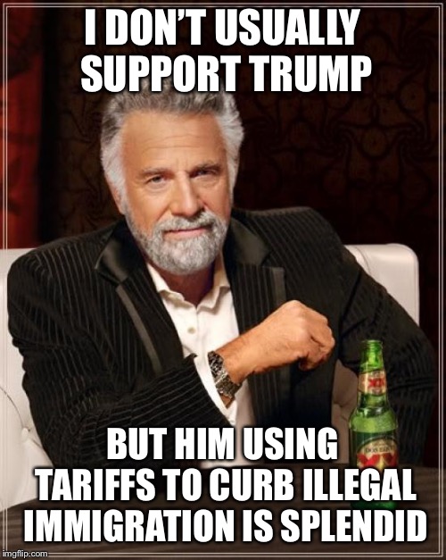 The Most Interesting Man In The World | I DON’T USUALLY SUPPORT TRUMP; BUT HIM USING TARIFFS TO CURB ILLEGAL IMMIGRATION IS SPLENDID | image tagged in memes,the most interesting man in the world | made w/ Imgflip meme maker