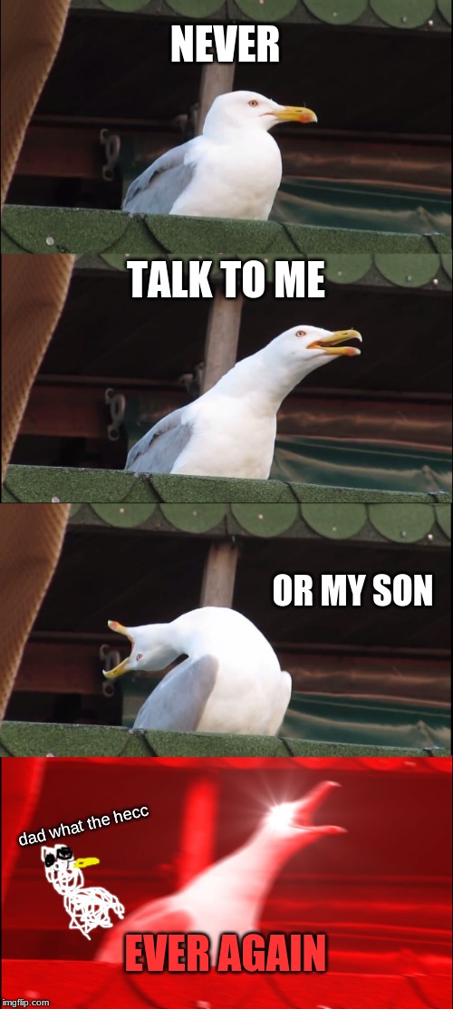 Inhaling Seagull Meme | NEVER; TALK TO ME; OR MY SON; dad what the hecc; EVER AGAIN | image tagged in memes,inhaling seagull | made w/ Imgflip meme maker