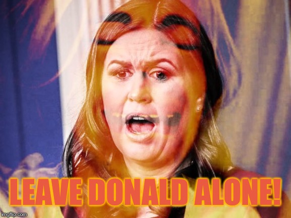 Sarah Smile | LEAVE DONALD ALONE! | image tagged in memes,sarah huckabee sanders | made w/ Imgflip meme maker