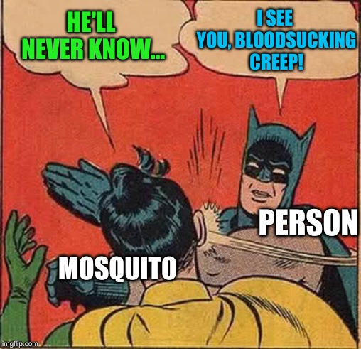 Batman Slapping Robin Meme | HE'LL NEVER KNOW... I SEE YOU, BLOODSUCKING CREEP! MOSQUITO PERSON | image tagged in memes,batman slapping robin | made w/ Imgflip meme maker