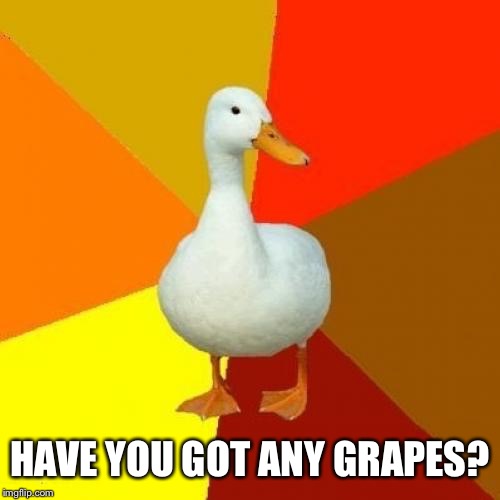 Tech Impaired Duck Meme | HAVE YOU GOT ANY GRAPES? | image tagged in memes,tech impaired duck | made w/ Imgflip meme maker