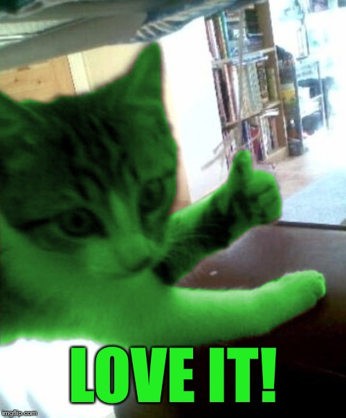thumbs up RayCat | LOVE IT! | image tagged in thumbs up raycat | made w/ Imgflip meme maker