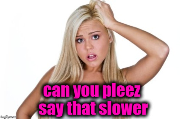 Dumb Blonde | can you pleez say that slower | image tagged in dumb blonde | made w/ Imgflip meme maker