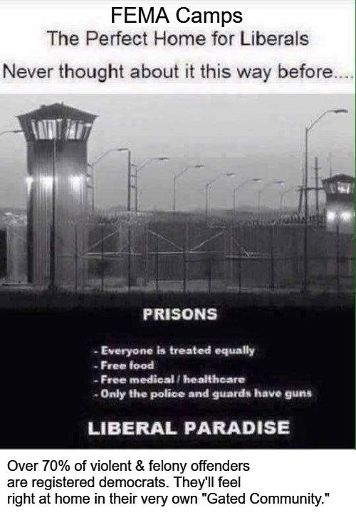 FEMA Camps: The Perfect Home for Liberals | FEMA Camps; Over 70% of violent & felony offenders are registered democrats. They'll feel right at home in their very own "Gated Community." | image tagged in free food,free healthcare,liberal paradise,liberal utopia,gun control,fema camps | made w/ Imgflip meme maker