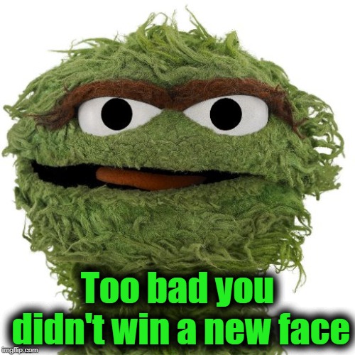 Oscar The Grouch | Too bad you didn't win a new face | image tagged in oscar the grouch | made w/ Imgflip meme maker