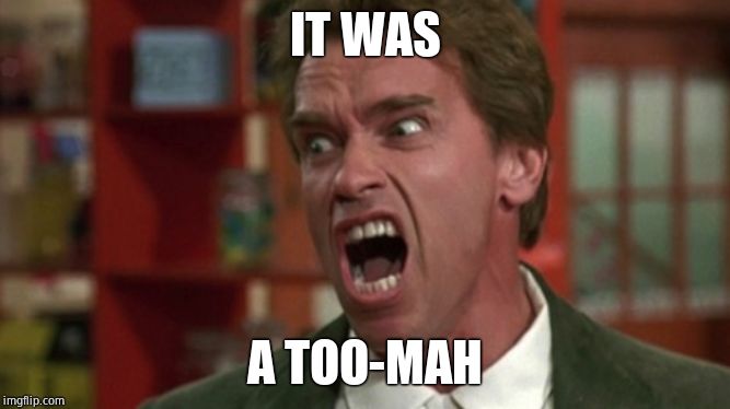 Arnold tumor | IT WAS A TOO-MAH | image tagged in arnold tumor | made w/ Imgflip meme maker