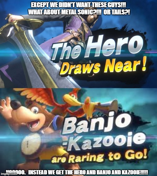 Please add a Sonic character in smash... | EXCEPT WE DIDN'T WANT THESE GUYS!!!  WHAT ABOUT METAL SONIC?!!!  OR TAILS?! NOOOOO.   INSTEAD WE GET THE HERO AND BANJO AND KAZOOIE!!!!! | image tagged in sonic the hedgehog,super smash bros,gaming | made w/ Imgflip meme maker