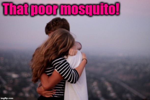 hug | That poor mosquito! | image tagged in hug | made w/ Imgflip meme maker