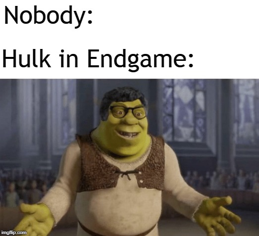 nobody | Nobody:; Hulk in Endgame: | image tagged in nobody,memes | made w/ Imgflip meme maker