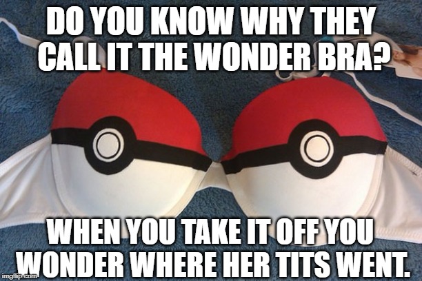 I Wonder..... | DO YOU KNOW WHY THEY CALL IT THE WONDER BRA? WHEN YOU TAKE IT OFF YOU WONDER WHERE HER TITS WENT. | image tagged in pokemon bra | made w/ Imgflip meme maker