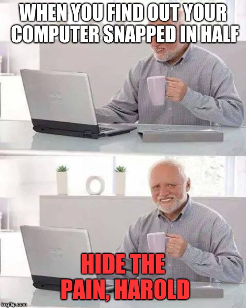 Hide the Pain Harold | WHEN YOU FIND OUT YOUR COMPUTER SNAPPED IN HALF; HIDE THE PAIN, HAROLD | image tagged in memes,hide the pain harold | made w/ Imgflip meme maker