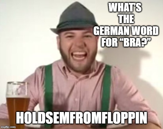 Das ist Lustig! | WHAT’S THE GERMAN WORD FOR “BRA?”; HOLDSEMFROMFLOPPIN | image tagged in german | made w/ Imgflip meme maker