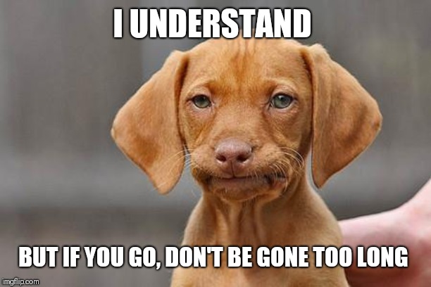 Dissapointed puppy | I UNDERSTAND BUT IF YOU GO, DON'T BE GONE TOO LONG | image tagged in dissapointed puppy | made w/ Imgflip meme maker