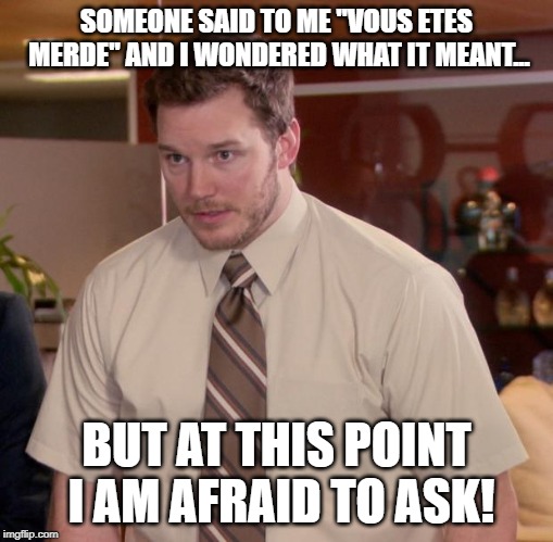 Not What You Want to Hear Andy.... | SOMEONE SAID TO ME "VOUS ETES MERDE" AND I WONDERED WHAT IT MEANT... BUT AT THIS POINT I AM AFRAID TO ASK! | image tagged in memes,afraid to ask andy | made w/ Imgflip meme maker